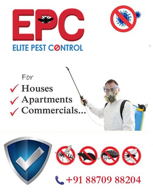 About Us - Elite Pest Control